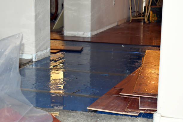 Professional Flood Damage Repair technician working in Chana, IL